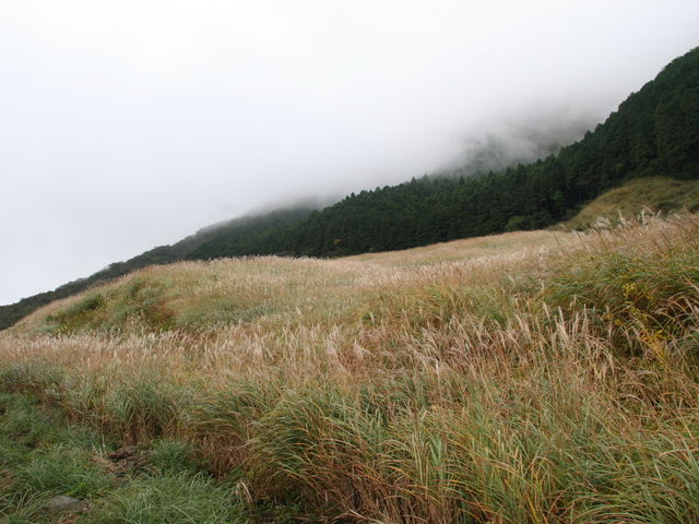 ��Ό�����