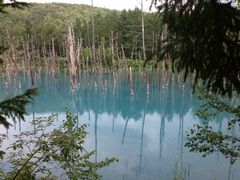 ���r�̎ʐ^1