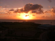 䂤񂳂̋XpCl̓eʐ^2