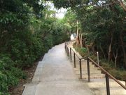 Hijiri̋˃V{ŕ̓eʐ^3