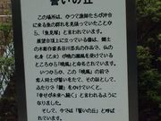 Hijiri̋˃V{ŕ̓eʐ^4