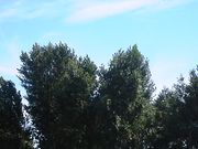 p_[14̔hw̃|v؂̓eʐ^1