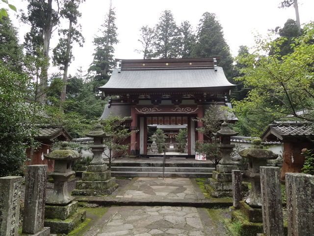 �Q��_�F�ފ�����_��