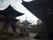 golddragon����̍��󒩌����̓��e�ʐ^2