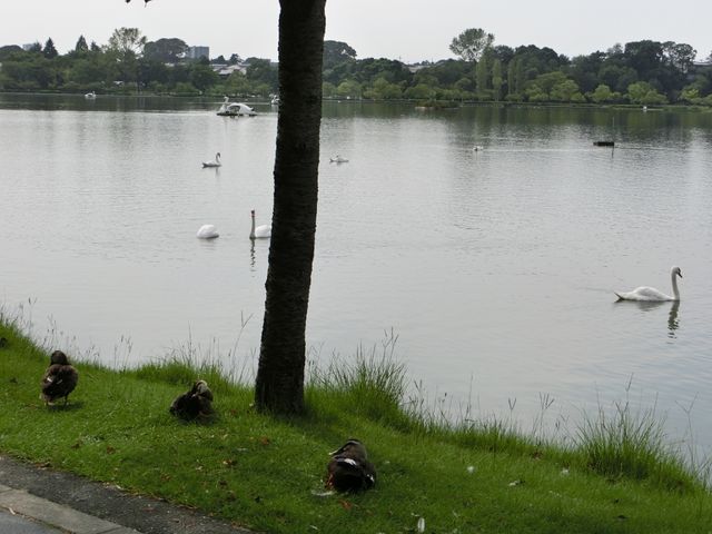 �΂ɂ͔����A��O�ɂ̓J���H_��g�ΗV����