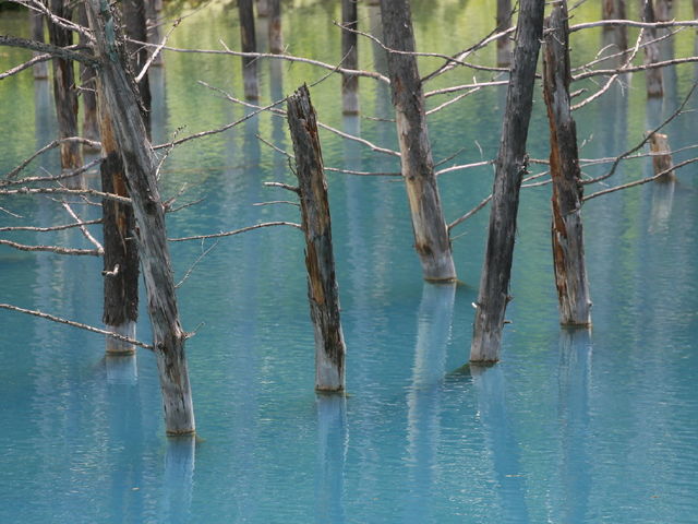 �����͂ꂽ�؂��Ȃ�Ƃ���ۓI�ł��B_���r