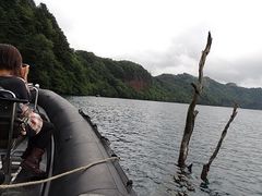 ݂݂񂳂̃Ohւ̓eʐ^1