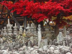 あだし野念仏寺の写真一覧 - じゃらんnet あだし野念仏寺の写真一覧 - じゃらんnet
