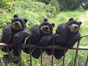 masispeciaľΔȂ̃pH[ CNxCN̓eʐ^1