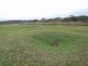 fghdfd̏\zJg[GQ̓eʐ^4