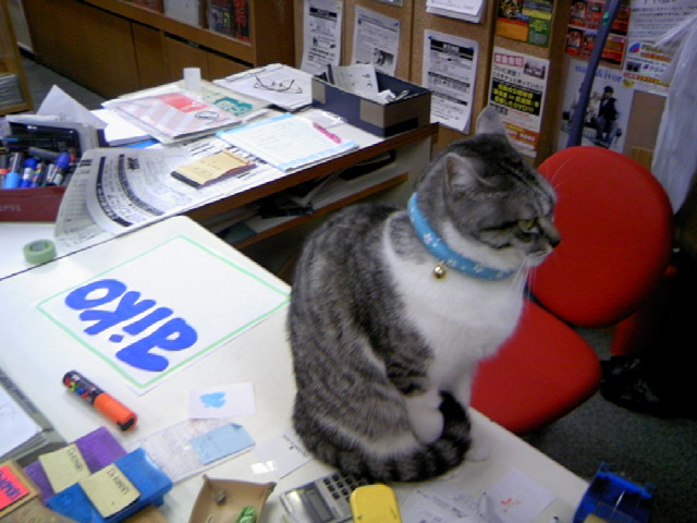 XX@uL^_R[hv

ܓXԒI_@iRj