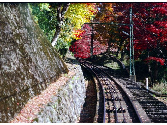 �R���֌������@�g�t�U��_�b�R�P�[�u��