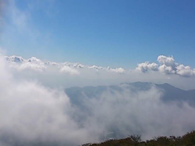 ߌx[vEFCɂ
VCǂΉ_̏Ɍ܂_ʕ{[vEFC