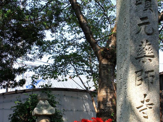 本薬師寺跡