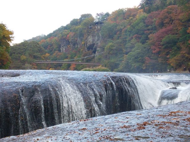 ��̂����^��ŎB�e_�����̑�