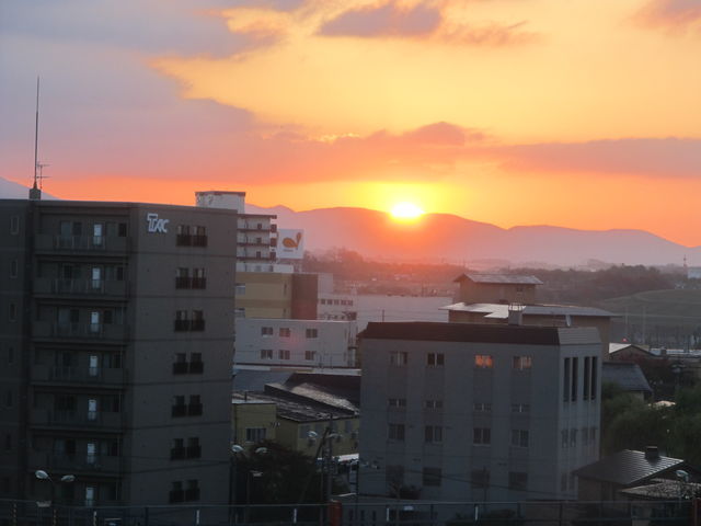 �z�e������̒���_���̐쉷��