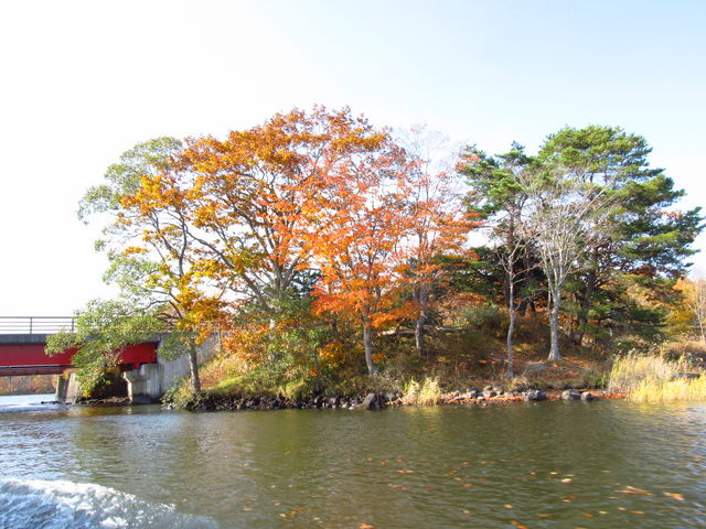 �g�t_����������