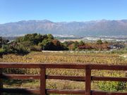 Ӂ[񂳂̂ӂ邳Ƃ̋u̓eʐ^1