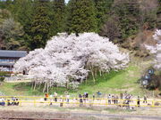 ��������񂳂�̉痴���̓��e�ʐ^1