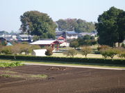 oto-chann̉tՂ̓eʐ^1