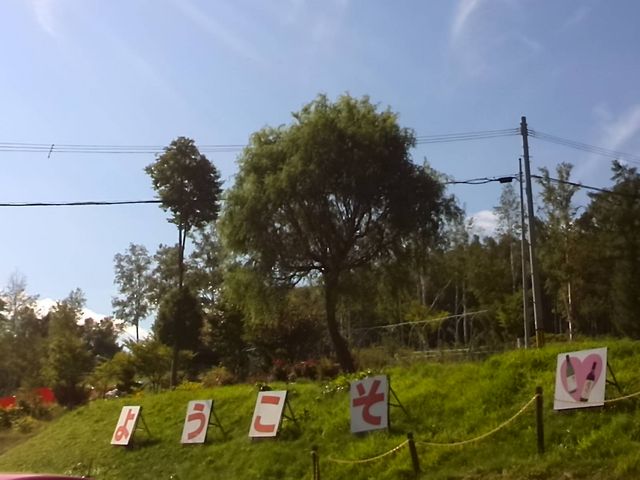 ���C�i���[�̌���������Ɍ���_�k�C�����C���i���j