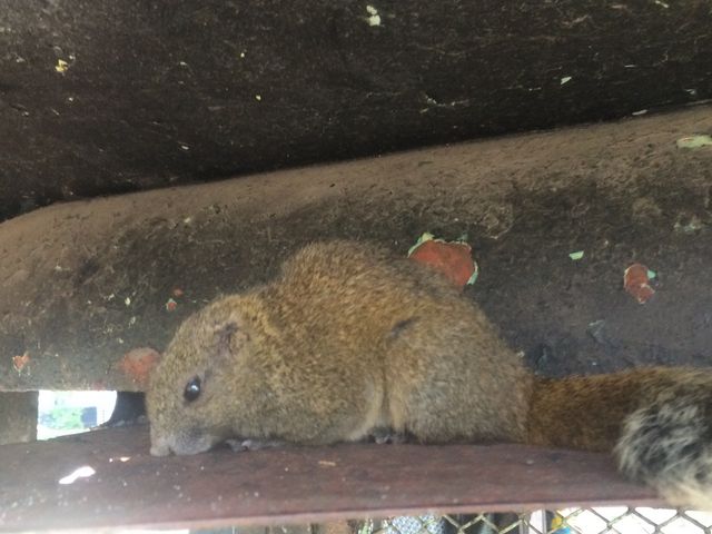 ؎RRɃX܂
GTė^邱Ƃo܂B_Ӌ؎R[vEF[