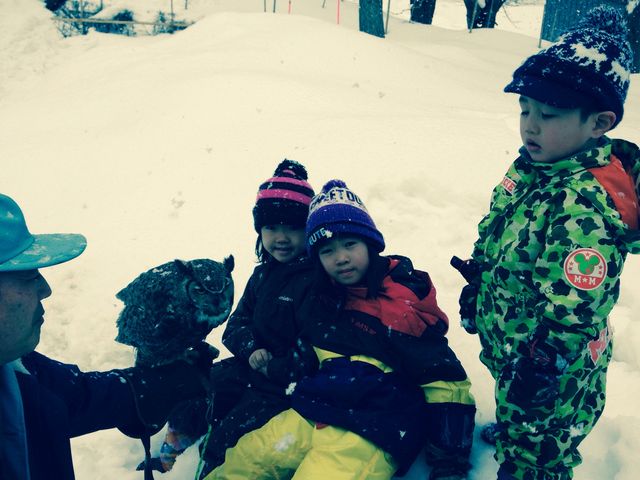 �^�J�ƗV��_���R������