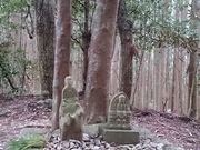 ƂȂ񂳂̋ߘIqՂ̓eʐ^1