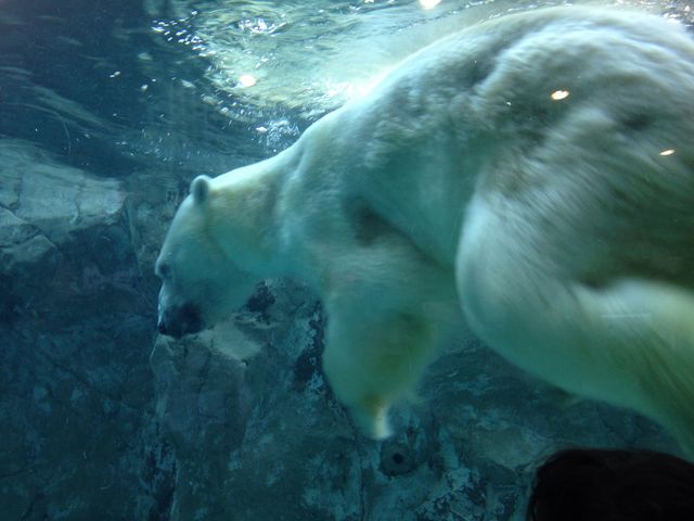 ���R������