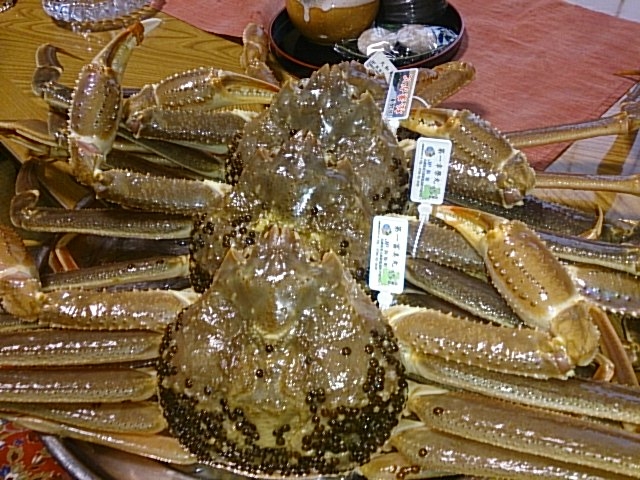 �^�O�t�����K�j_��������