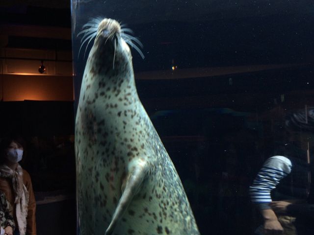 ���A�U���V��_���R������