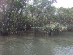 ҂񂳂̃}O[uJk[c[Oւ̓eʐ^2