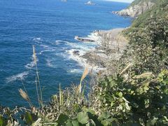 ΂񂳂̐{ztFXւ̓eʐ^1