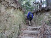 maneki̕󖞎R̓eʐ^1