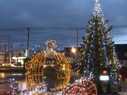 łԂ̃tmE}VF@tmE}VFQ̓eʐ^1