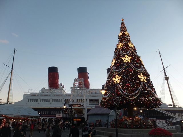 �����f�B�Y�j�[�V�[(R)