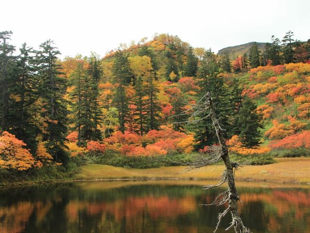 �Ζʂ̍g�t��������_��ፂ�����Q