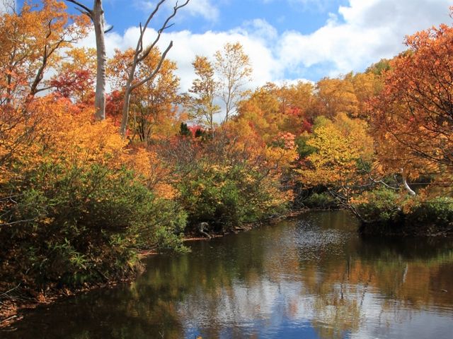 ���X�Ɍ��������A�N�Z���g_��ፂ�����Q