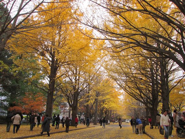 ���ŗ����t���E�E�E_�k��C�`���E����