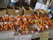 BOB̂񂸂̗όق̓eʐ^1