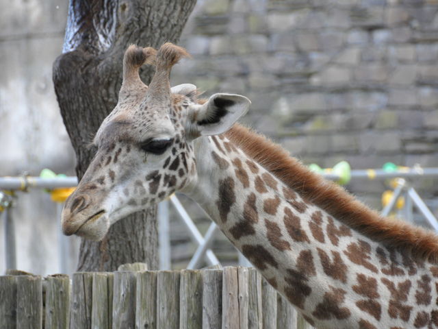 �~�R������