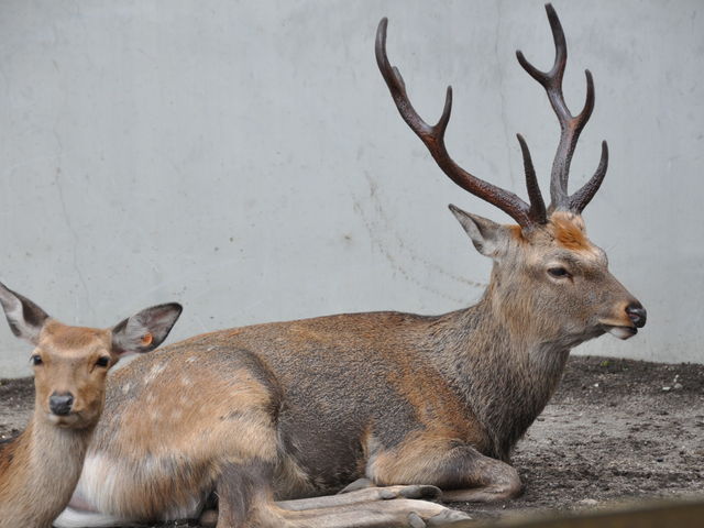 �~�R������