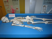 ҂̍LsNÂZ^[NȊwق̓eʐ^5