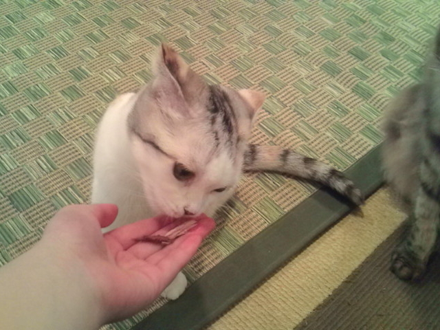 邱Ƃo܂B_˂JtF Ȃ