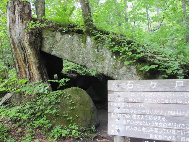 񂳂̐΃ˋxe@X̓eʐ^1