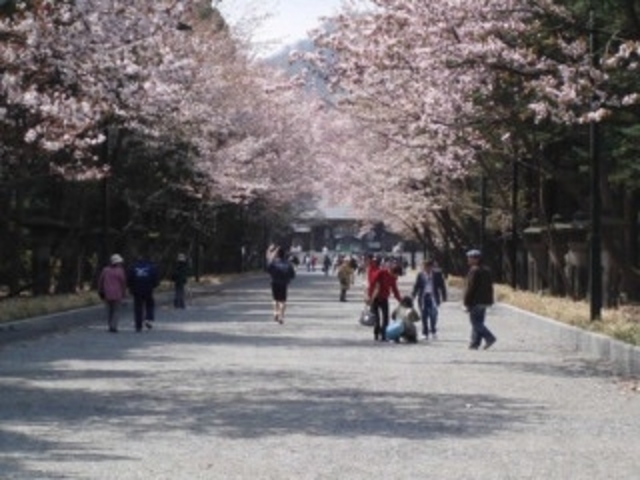 �k�C���_�{