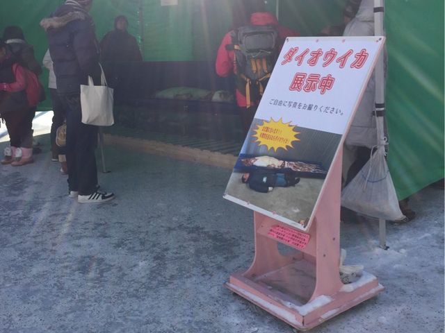 �~�R������