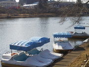 komo̎ьق̓eʐ^2