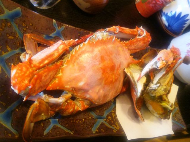 悵ł񂳂̖Lm̓eʐ^2