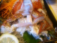 悵ł񂳂̖Lmւ̓eʐ^1